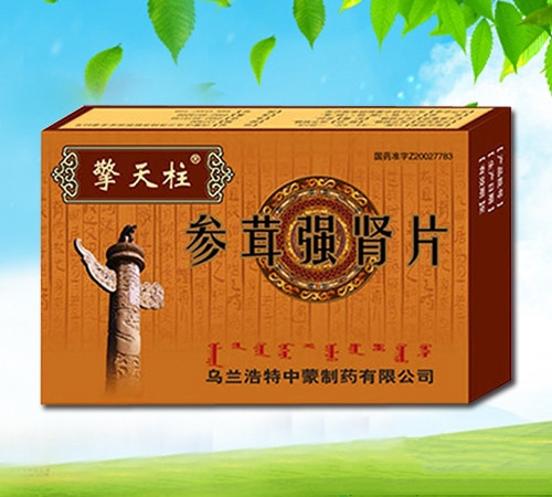 参茸强肾片