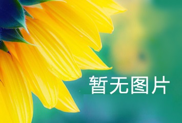 妇科养坤丸（水蜜丸）