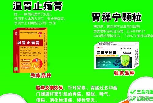 温胃止痛膏